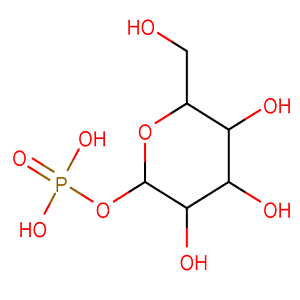 L-半乳糖-1-磷酸,L-galactose 1-phosphate