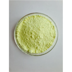 次没食子酸铋,Bismuth subgallate