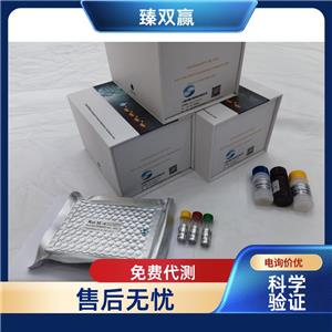 人可溶性细胞间粘附分子1(sICAM-1)ELISA试剂盒,Human sICAM-1 ELISA KIT