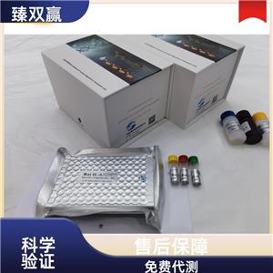 人可溶性凋亡相关因子配体(sFASL)ELISA试剂盒,Human sFASL ELISA KIT