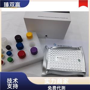 人白细胞介素1受体拮抗剂(IL-1Ra)ELISA试剂盒,Human IL-1RA ELISA KIT