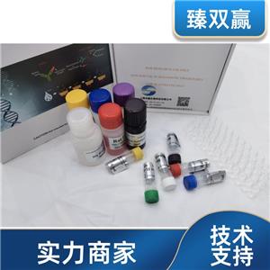 人白细胞介素2(IL-2)ELISA试剂盒,Human IL-2 ELISA KIT