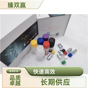 人热休克蛋白70(HSP-70)ELISA试剂盒,Human HSP-70 ELISA KIT