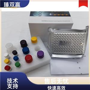 人成纤维细胞生长因子23(fgf-23)试剂盒,Human FGF-23 ELISA KIT