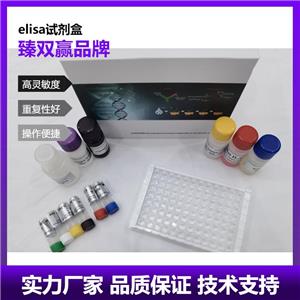 人α酮戊二酸脱氢酶(α-KGDHC)ELISA试剂盒,Human α-KGDHC ELISA KIT
