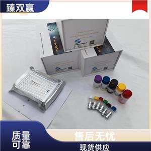 人α酮戊二酸脱氢酶(α-KGDHC)ELISA试剂盒,Human α-KGDHC ELISA KIT