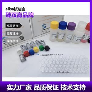 人胰岛素原(PI)ELISA试剂盒,Human PI ELISA KIT