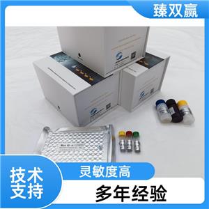 人类肌腱蛋白c(TNC)ELISA试剂盒,Human TNC ELISA KIT