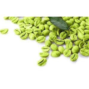 绿咖啡豆提取物,Green coffee bean extract