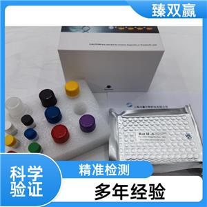 人碘甲腺原氨酸脱碘酶3(DIO3)ELISA试剂盒,Human DIO3 ELISA KIT