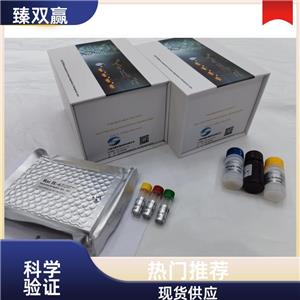 人神经连接蛋白3(NLGN3)ELISA试剂盒,Human NLGN3 ELISA KIT