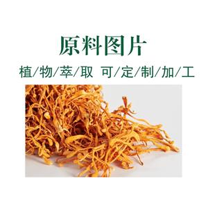 蛹虫草提取物,Cordyceps Militaris Extract