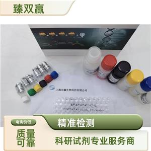 人神经纤维网蛋白2(NRP2)ELISA试剂盒,Human NRP2 ELISA KIT