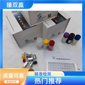 人磷酸化信号传导子及转录激活子3(p-STAT3)ELISA试剂盒,Human p-STAT3 ELISA KIT