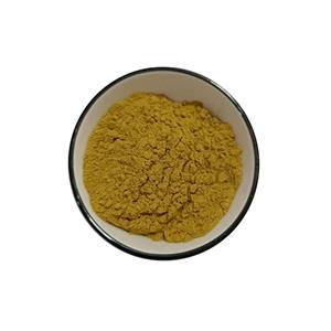 黄连提取物,Coptis chinensis extract