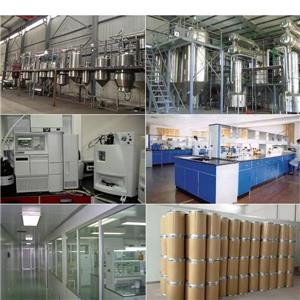 番泻叶提取物,Senna Leaf Extract