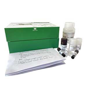 α-L-鼠李糖苷酶(α-L-rhamnosidase)测定试剂盒微板法/48样,α-L-rhamnosidase ELISA KIT