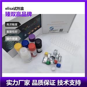 人载脂蛋白E4(ApoE4)ELISA试剂盒,Human ApoE4 ELISA KIT