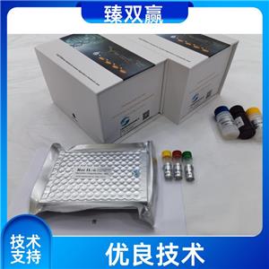 人可溶性血管紧张素转化酶(s-ACE)ELISA试剂盒,Human s-ACE ELISA KIT