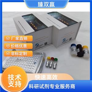 人载脂蛋白M(APO-M)ELISA试剂盒,Human APO-M ELISA KIT