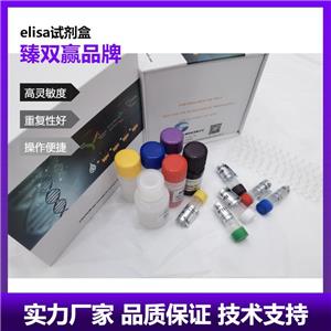 人运动神经元生存蛋白2(SMN2)ELISA试剂盒,Human SMN2 ELISA KIT