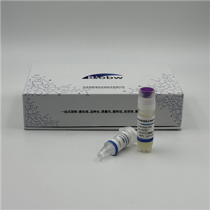 Altererythrobacter Aestuarii