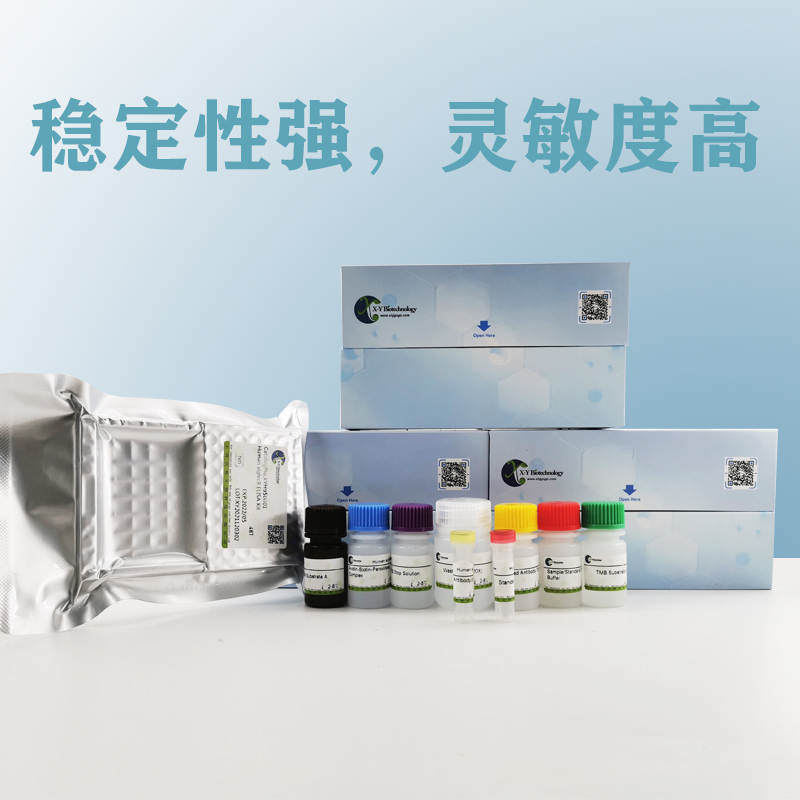 牛BOLA-DQA2(BOLA-DQA2)ELISA试剂盒,Bovine BOLA-DQA2(BOLA-DQA2) ELISA Kit