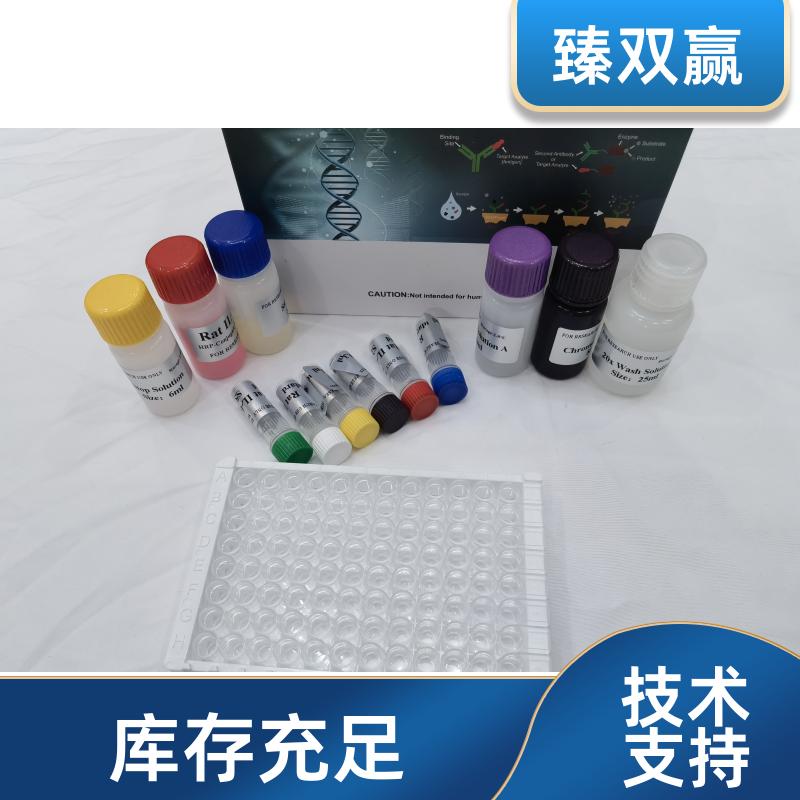 人转谷氨酰胺酶6(TGM6)ELISA试剂盒,Human TGM6 ELISA KIT