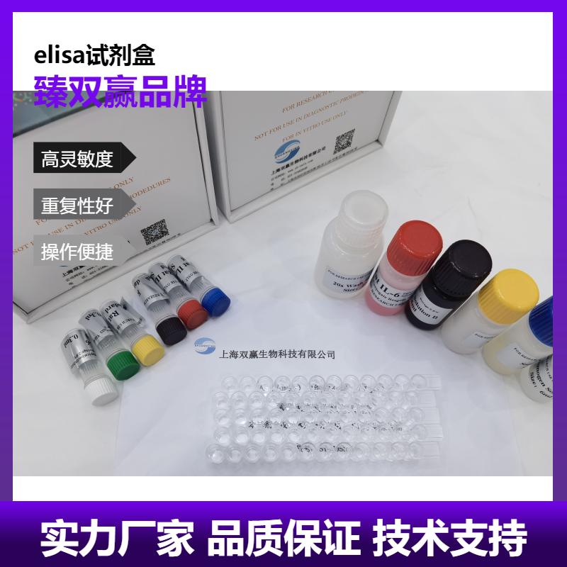 人转录因子Sp1(Sp1)ELISA试剂盒,Human Sp1 ELISA KIT