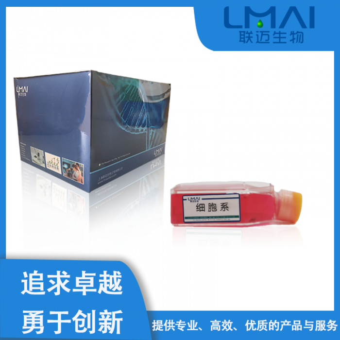 A2细胞（腺样囊性癌细胞）LM8C0252,A2