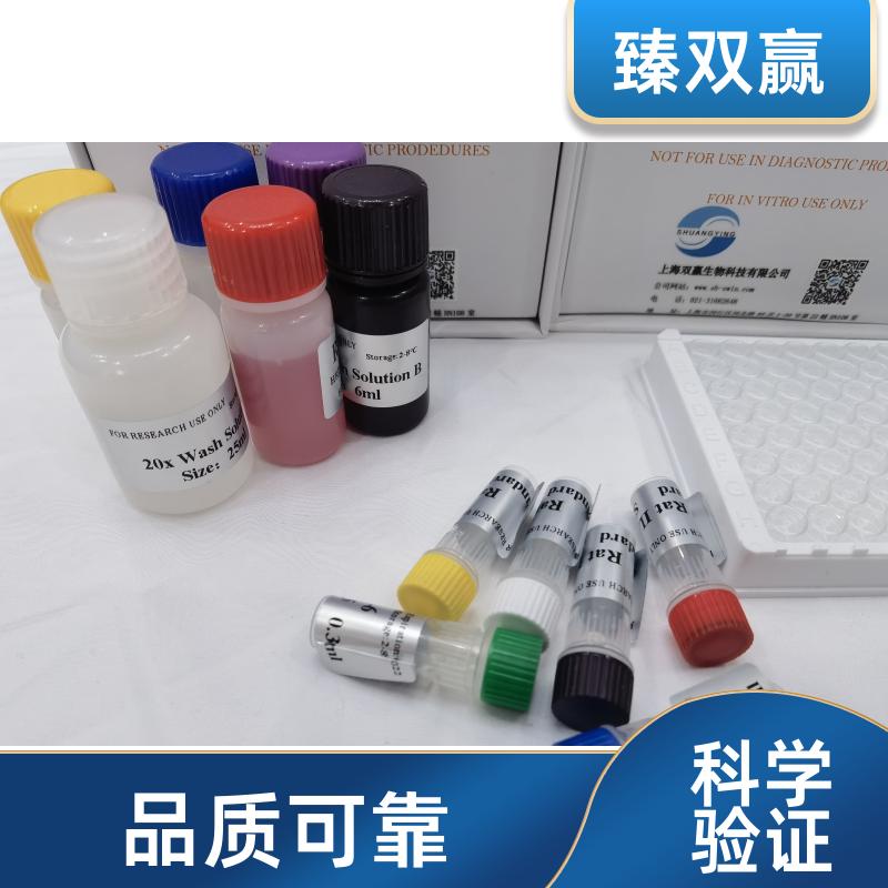 人趋化因子C-C-基元受体7(CCR7)ELISA试剂盒,Human CCR7 ELISA KIT