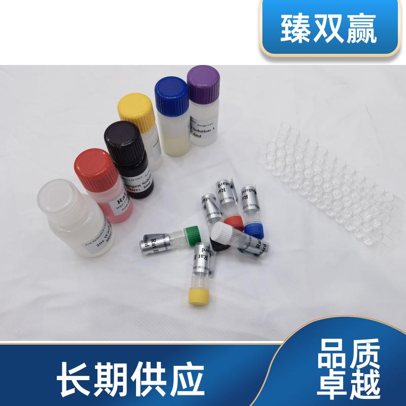 人赖氨酸特异性组蛋白去甲基化酶1(LSD1)ELISA试剂盒,Human LSD1 ELISA KIT