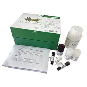 超氧化物歧化酶(SOD)测定试剂盒(WST-8法)/微量法/96样,SOD ELISA KIT