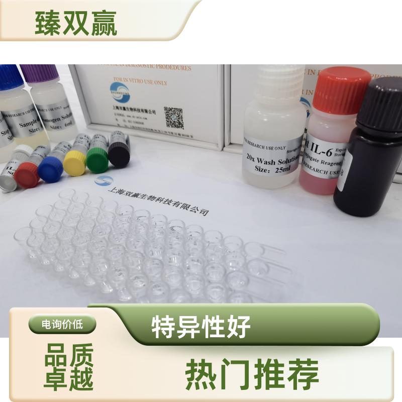 人角鲨烯合成酶(SQS)ELISA试剂盒,Human SQS ELISA KIT