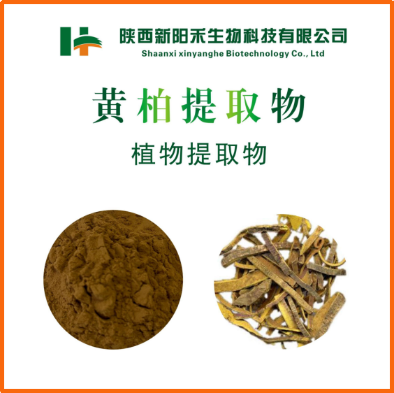 黄柏提取物,Berberine