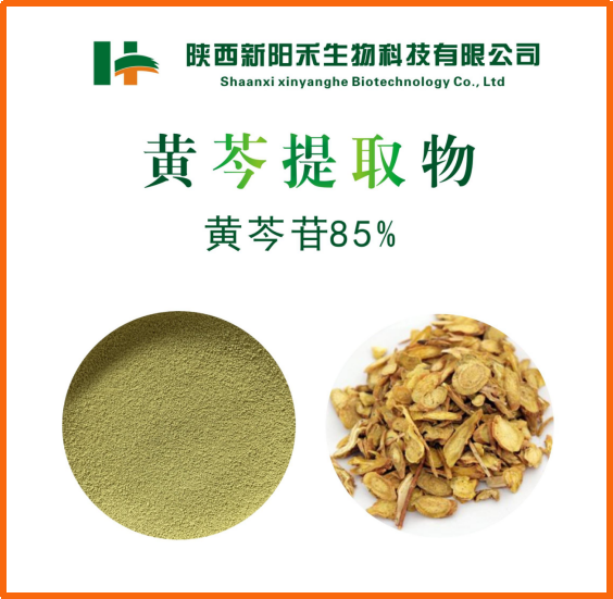 黄芩提取物,Baikalskullcap extract