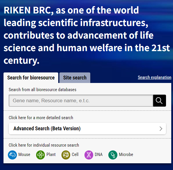 RIKEN细胞系,RIKEN