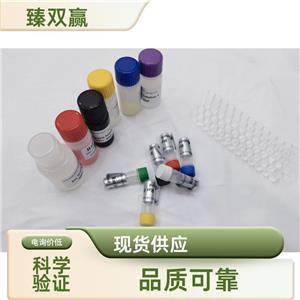 人转谷氨酰胺酶6(TGM6)ELISA试剂盒,Human TGM6 ELISA KIT