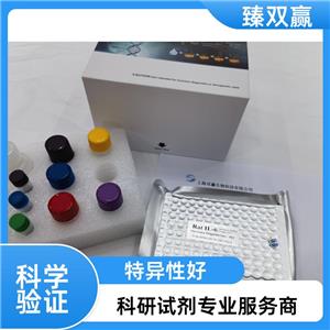 人兜甲蛋白(LOR)ELISA试剂盒,Human LOR ELISA KIT
