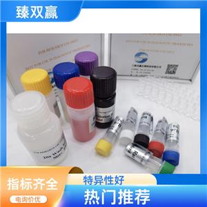 人免疫球蛋白卡帕变异1D-12(IGKV1D-12)ELISA试剂盒,Human IGKV1D-12 ELISA KIT