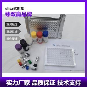 人信号传导转录激活因子2(STAT2)ELISA试剂盒,Human STAT2 ELISA KIT