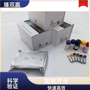 人转化生长因子β2(TGF-β2)ELISA试剂盒,Human TGF-β2 ELISA KIT