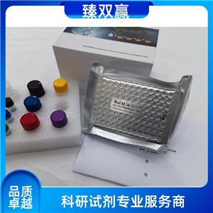 人足细胞标记蛋白;足盂蛋白(PCX)ELISA试剂盒,Human PCX ELISA KIT