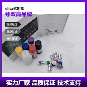 人丝氨酸蛋白酶23(PRSS23)ELISA试剂盒,Human PRSS23 ELISA KIT