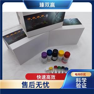 人赖氨酰氧化酶样蛋白(LOXL2)ELISA试剂盒,Human LOXL2 ELISA KIT