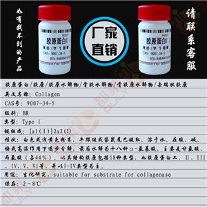胶原蛋白,Collagen