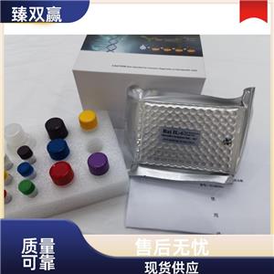 人白细胞激活黏附因子(ALCAM)ELISA试剂盒,Human ALCAM ELISA KIT