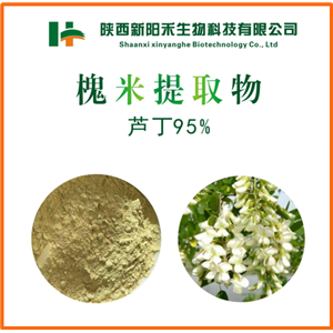 槐米提取物,Extract of Sophora flavescens