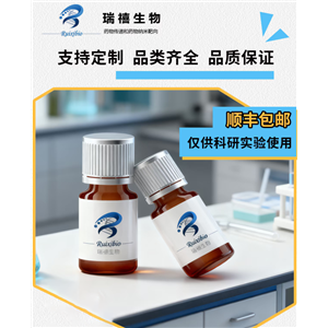 油酸修饰的四氧化三铁磁性纳米颗粒（OA-Fe3O4）,Oleic Acid-modified Fe3O4 Magnetic Nanoparticles (OA-Fe3O4, Co-precipitation)