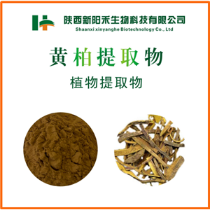 黄柏提取物,Berberine